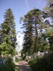 Центральная аллея на Севастьяновском кладбище города Енисейска